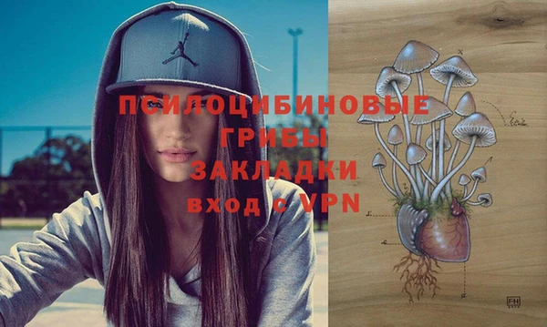 МДМА Алексеевка