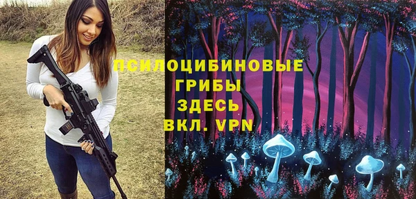 МДМА Алексеевка