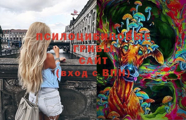 кокаин колумбия Алзамай
