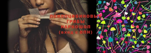mix Инта