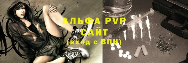 молекула духа Алексин